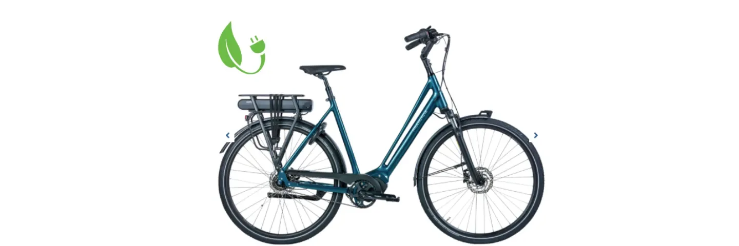 E-bike DELUXE