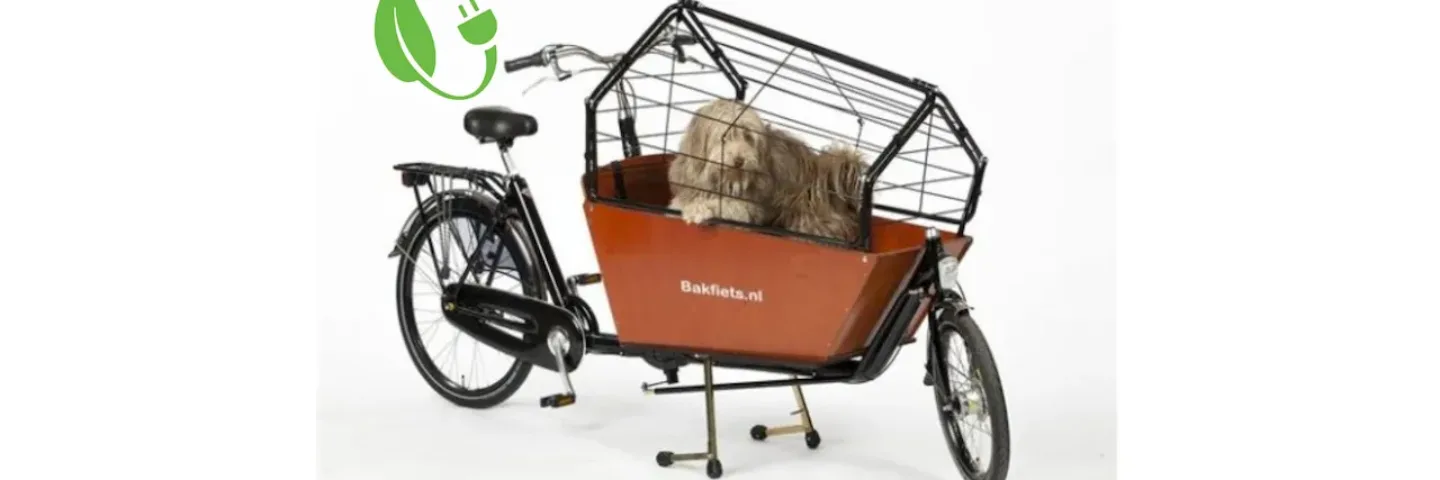 Hondenbakfiets elektrisch