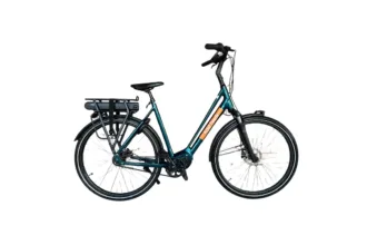 E-bike DELUXE