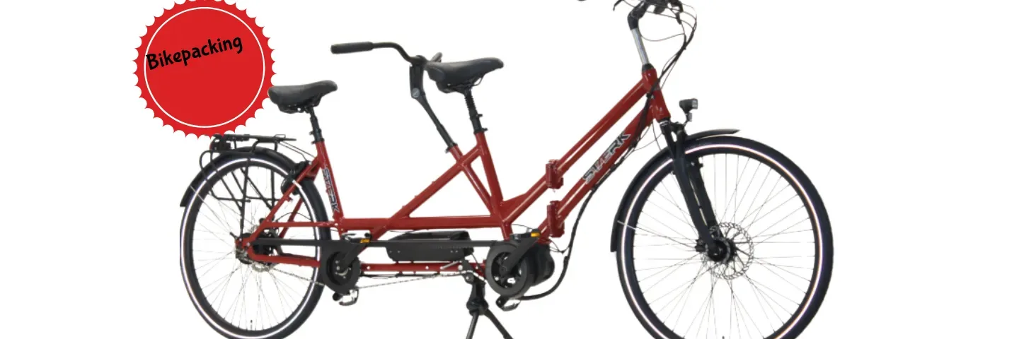 Tandem Elektrisch Deluxe
