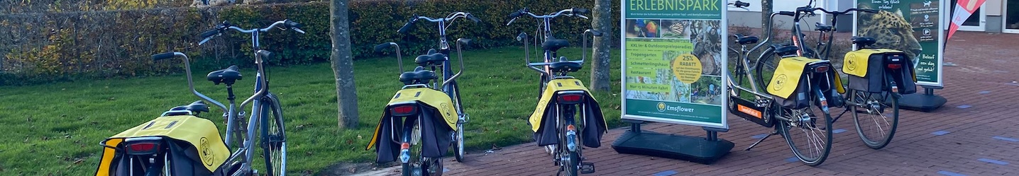 verzekeringen_actief_twente_tandem